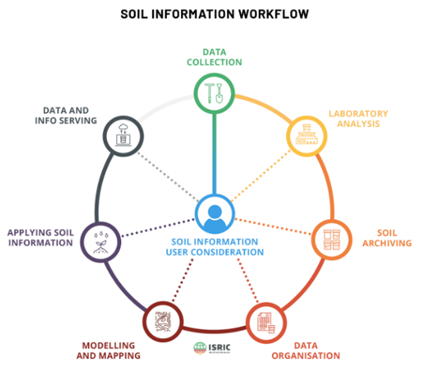 Soil information workflow