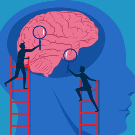 Zo zet je het SCARF-model in om Cialdini’s principes te versterken