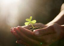 De 10 beste artikelen over klantcontact in 2025 De 10 beste artikelen over klantcontact in 2025