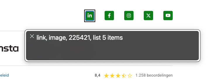 De logo’s van LinkedIn, Facebook, Instagram, X en YouTube staan onderin de footer. In beeld is de tekst die VoiceOver opleest: Link, image, 225421, list 5 items’.