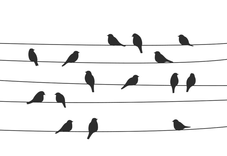 Vogels op een lijn. Vogeltje Henry