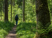 Kom achter je bureau vandaan: de beste ideeën ontstaan buiten de deur
