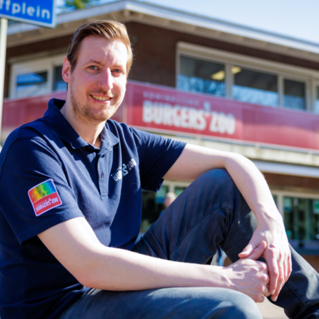 Hoe Burgers’ Zoo met AI de drukte temt en de klantbeleving versterkt