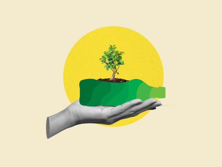 Een hand met een groeiende boom. 
