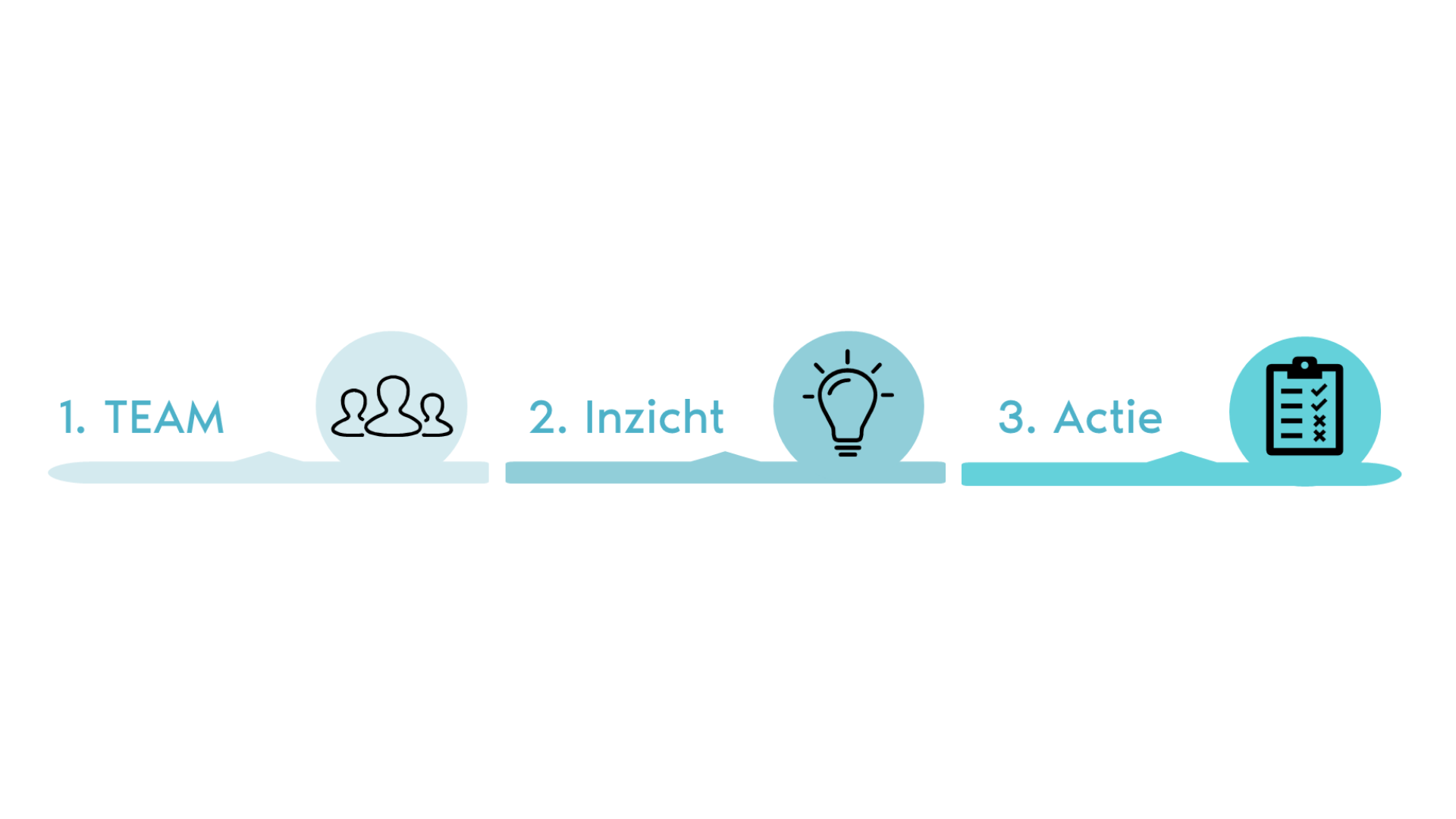 Team, inzicht, actie (DEX - Kanari)