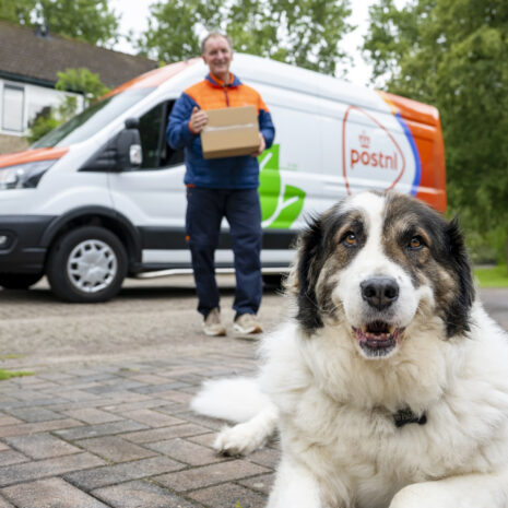 PostNL-bezorgers delen in aanloop naar Dierendag duizenden ´Kwispel´-stickers uit