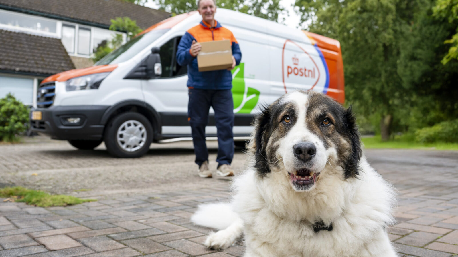 PostNL-bezorgers delen in aanloop naar Dierendag duizenden ´Kwispel´-stickers uit