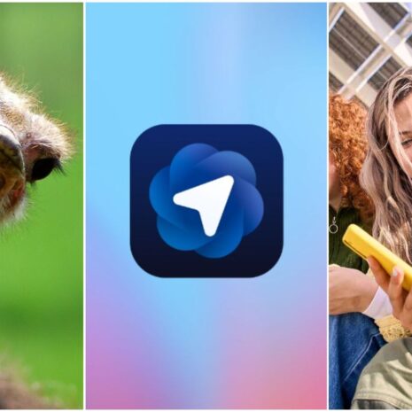 10x populair: ChatGPT Atlas, SEA-trends voor 2026 & een social search-proof strategie