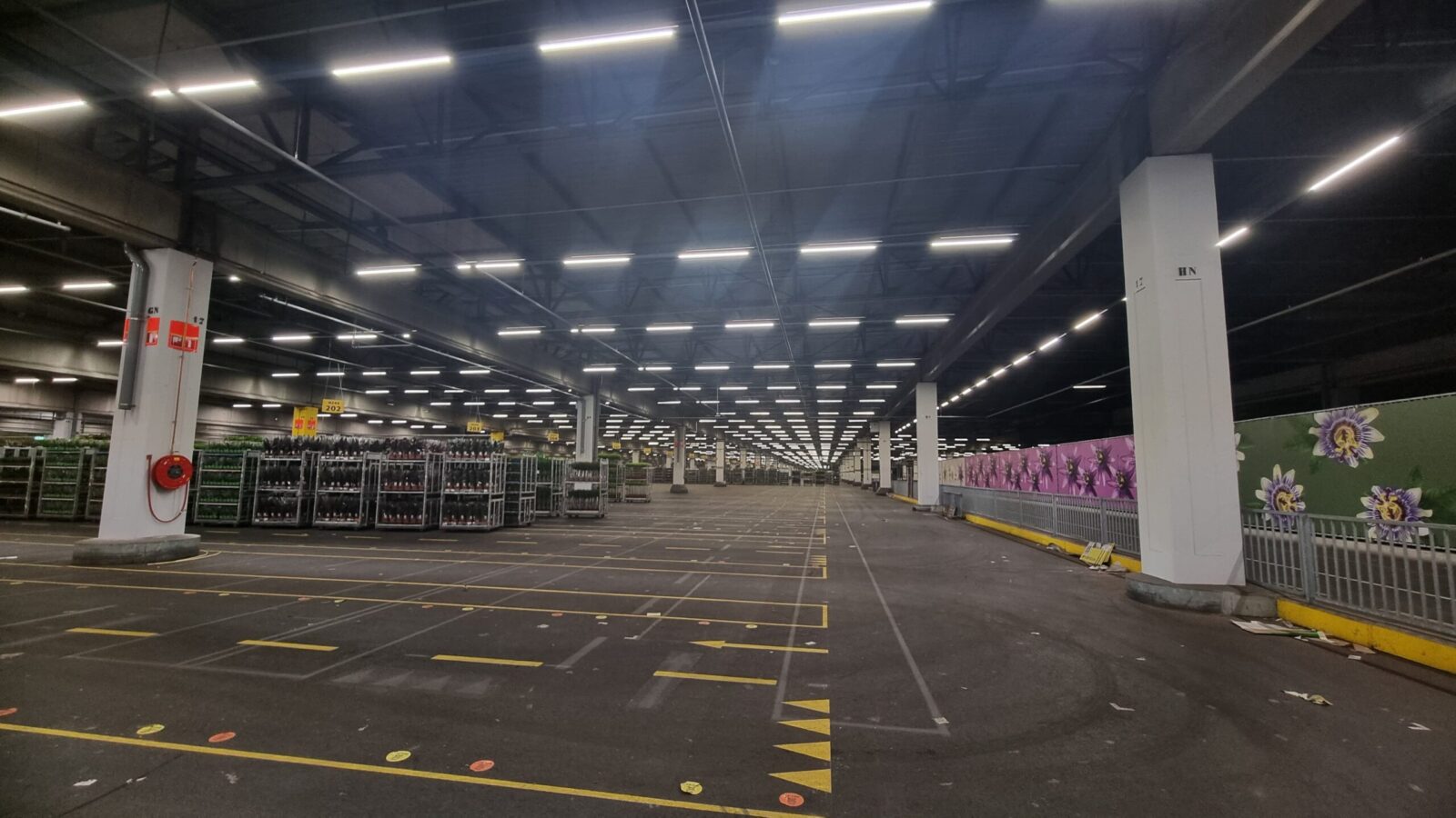Groen licht voor de bloemenveiling: Royal FloraHolland verlengt samenwerking met Veko Lightsystems