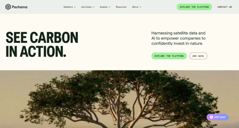 Pachama zorgt voor een toegankelijke, inclusieve en verantwoorde website