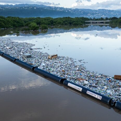 The Ocean Cleanup zet volgende stap in digitale transformatie met SAP S/4HANA Cloud, Public Edition