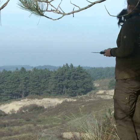 PWN bouwt aan toekomstbestendige waterlevering met RISE with SAP