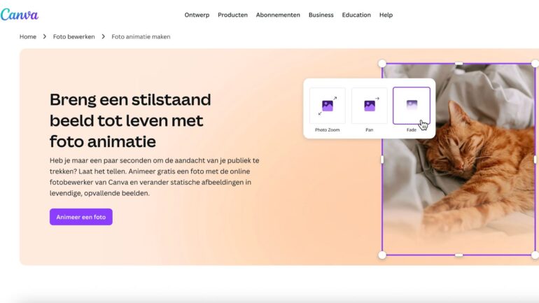 Screenshot Canva: breng een stilstaand beeld tot leven met foto animatie