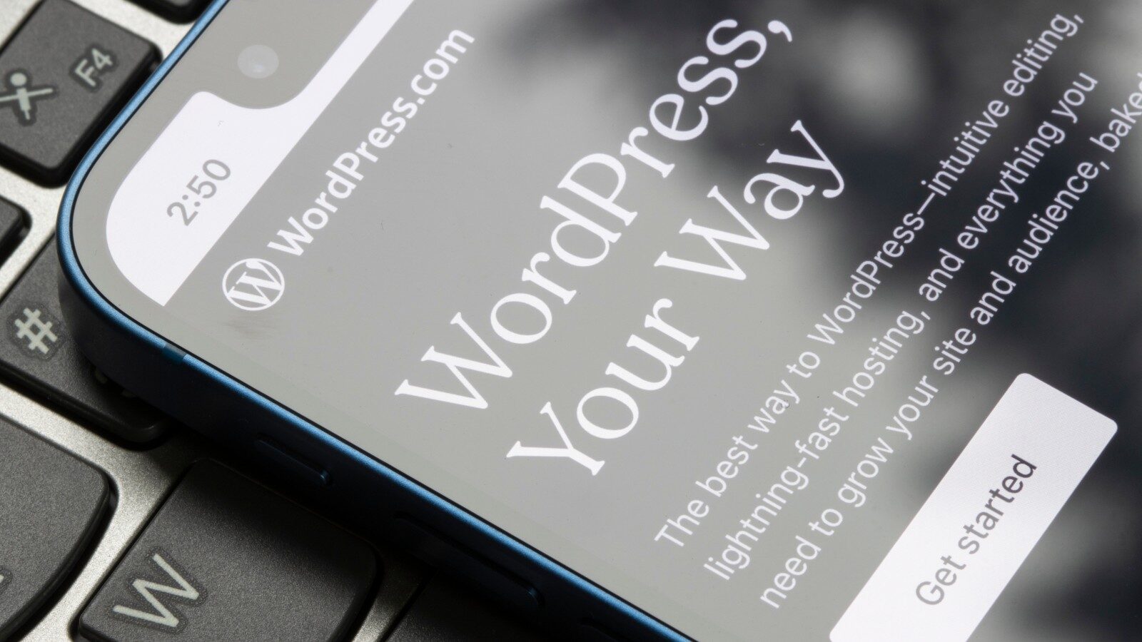 De risico’s van WordPress-updates voor je webshop