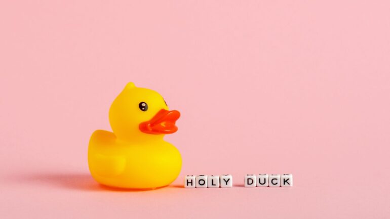 Een gele badeend met de tekst "holy duck".