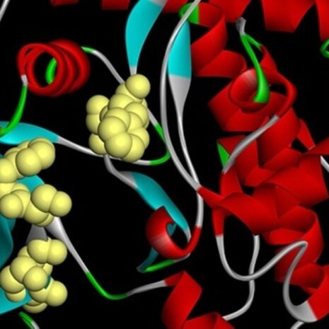 Dassault Systèmes en NVIDIA bundelen krachten voor een schaalbare industriële AI-architectuur