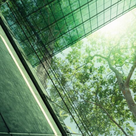 Duurzaamheid & het grootste reputatierisico: falend bestuur [podcast]