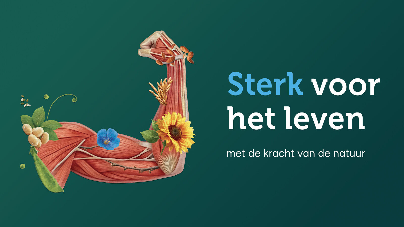 ‘Sterk voor het leven’: Holland & Barrett zet belang van spiergezondheid centraal met zelfhulpboek van 5 kilo