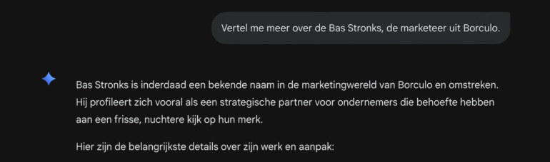 Screenshot van Gemini's beschrijving van Bas Stronks als marketeer uit Borculo, met de opvallende formulering 'profileert zich als strategische partner'.