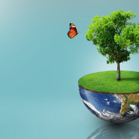 Zo optimaliseer je de LinkedIn-bedrijfspagina voor een ecosysteem dat jarenlang voor je werkt