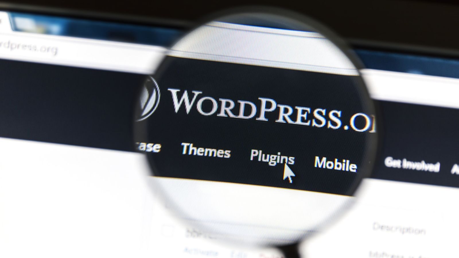 Een WordPress-site? Tijd om je afhankelijkheden in kaart te brengen