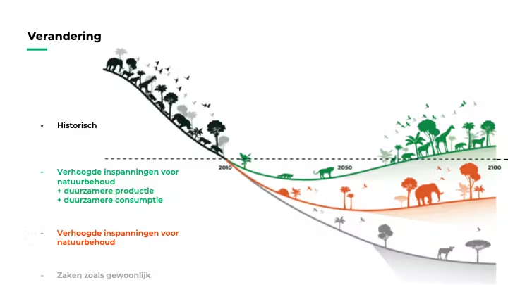 Extinsion timeline