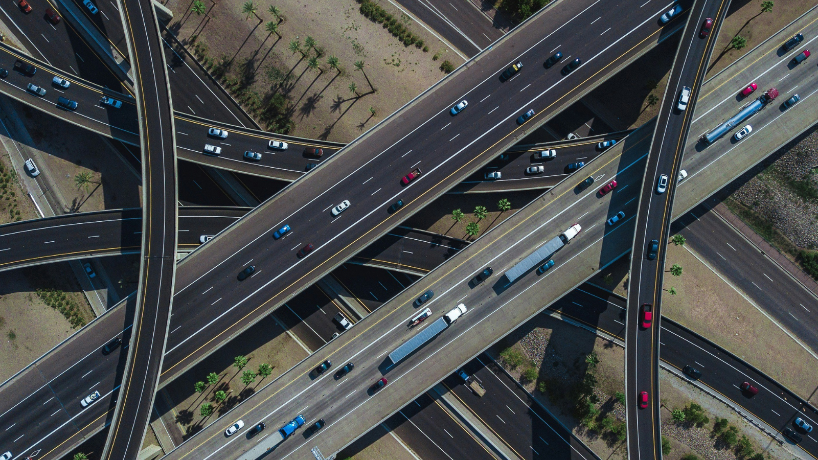Van efficiëntiewinst naar strategische transformatie: de volgende AI-stap voor Nederland