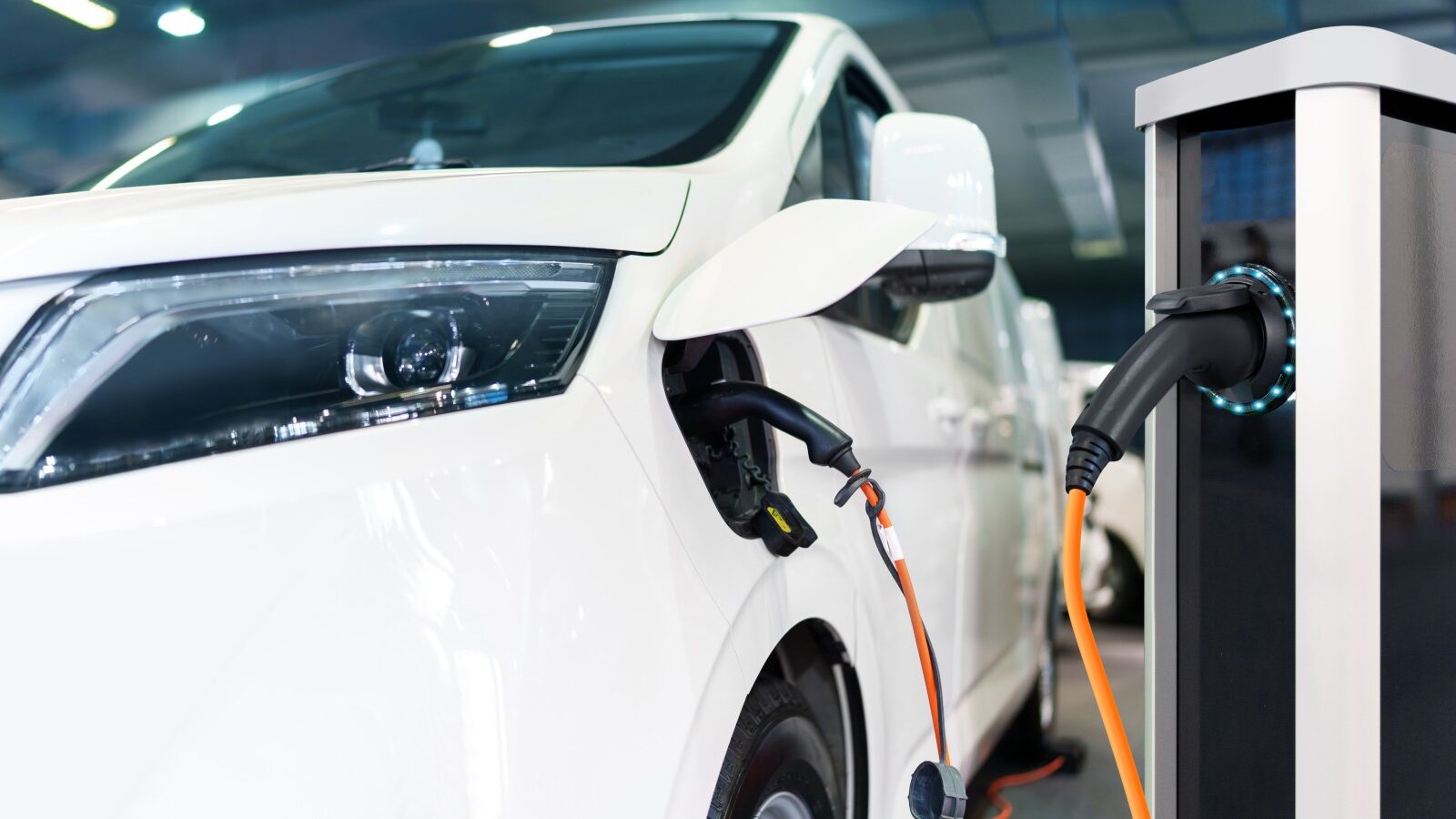 Wat Tesla, Polestar en BYD ons leren over merkpersoonlijkheid