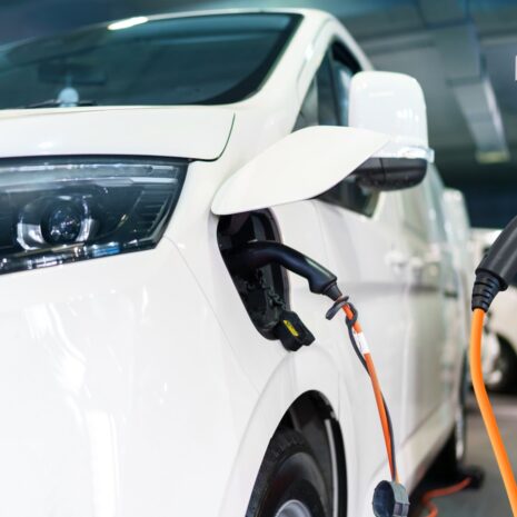 Wat Tesla, Polestar en BYD ons leren over merkpersoonlijkheid