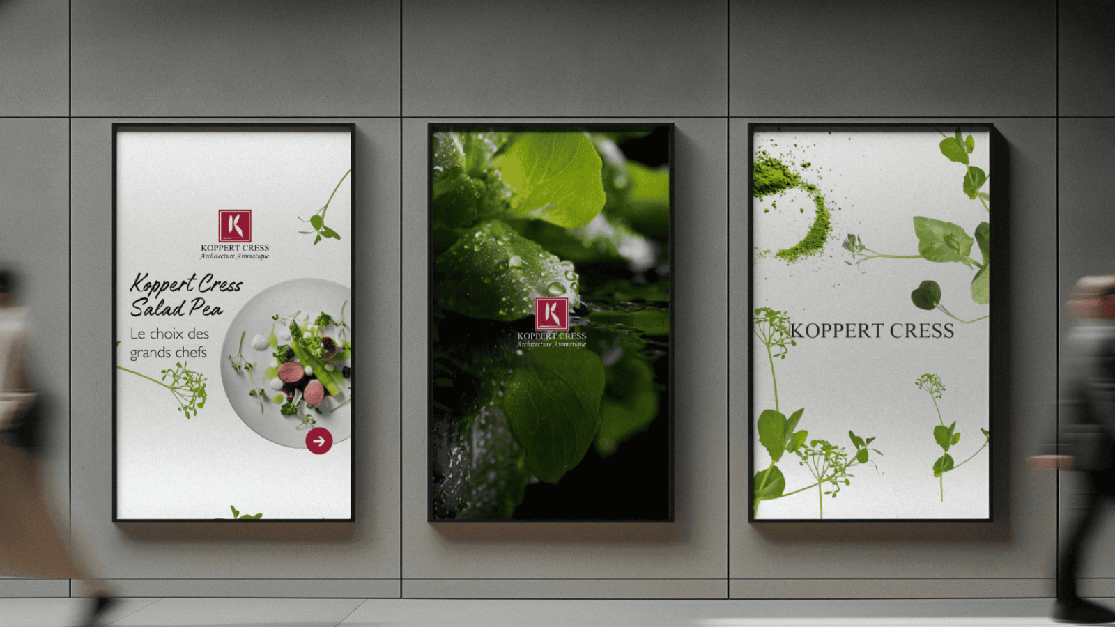 Koppert Cress kiest Every Day als lead agency